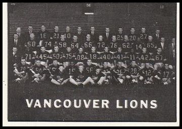 15 Lions Team Photo